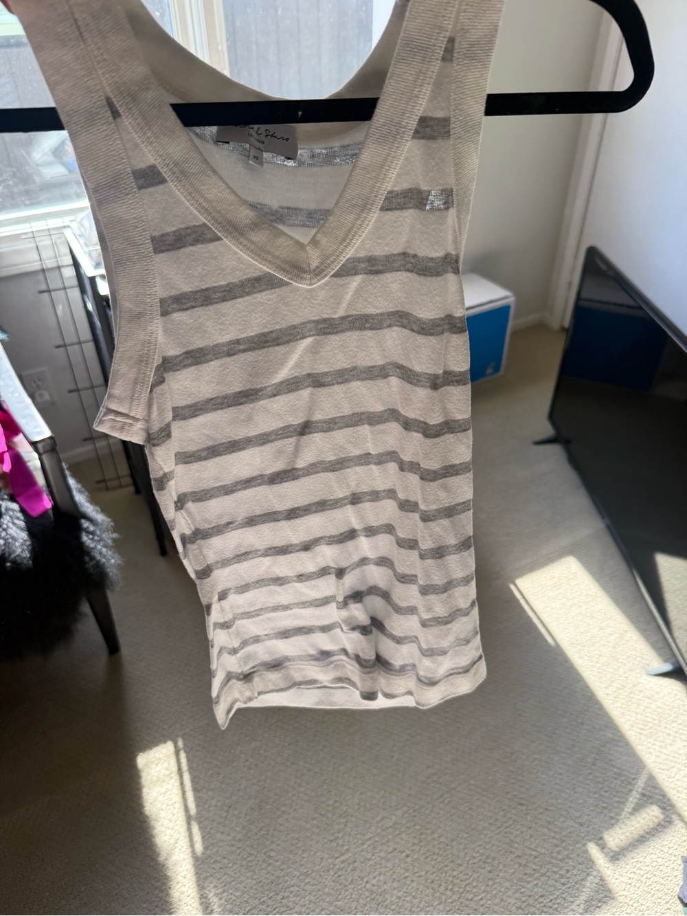 Splendid Cream and Gray Striped V-Neck Tank Top
